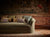 Fromental Cushions in multiple patterns and colours