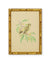 Three Framed Bird Artworks (Set B)