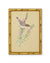 Three Framed Bird Artworks (Set C)