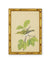 Three Framed Bird Artworks (Set B)